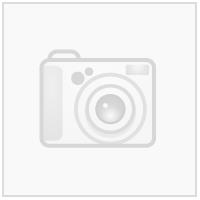 Ryger klubblogo Hvit N Transfermerke 75mmx66mm